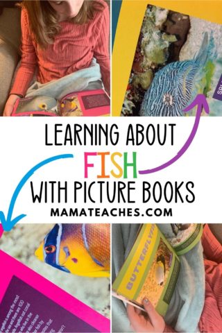 more fish faces, ocean friends, all fish faces, fish faces