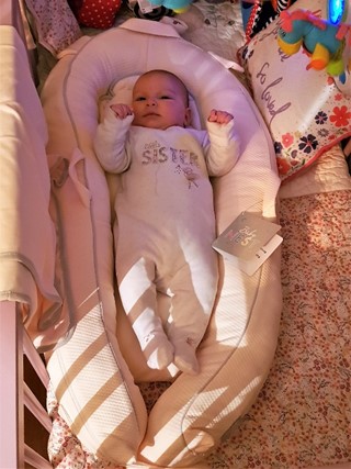 Kally Sleep Pink Baby Nest
