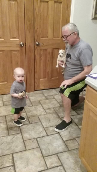 Dad and Miles have been gathering like outfits... I brought Miles over dressed in all the clothes I know dad has the same things in, it was my 'test' to see if he would change. It took less than 30 seconds and he got up and changed his clothes to match. I didn't anticipate Miles picking up a little mouse stuffed animal to match Dad's chihuahua ;-)