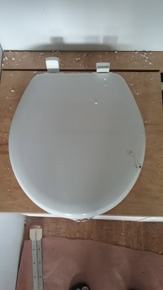 A bird used my potty first! Ugggg! Not cool bird. Not cool!