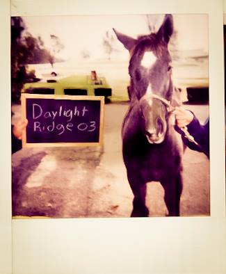 Baby George. I've had people tell me he was a nightmare to handle up until he was gelded.