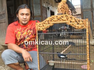 Mr YY dan kacer Adipati