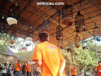 Kelas lovebird Perwira Team