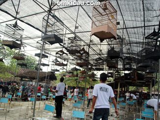Latpres PKM Klaten