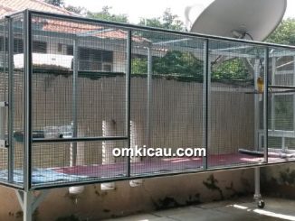 Kandang umbaran kenari James Bond