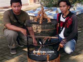 Kru Dik Tri Sangiran dan kacer Martaon
