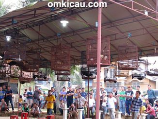 Suasana Latihan Spesial Sakti Bird Jambi