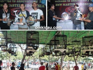 BMW Master Cup 1