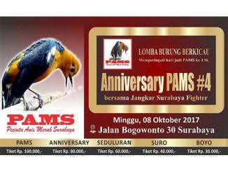 anniversary pams #4