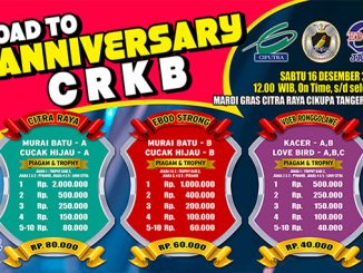 Road to Anniversary CRKB