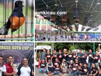 Tangerang Kota Cup 1