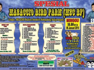 Masaccio Bird Farm