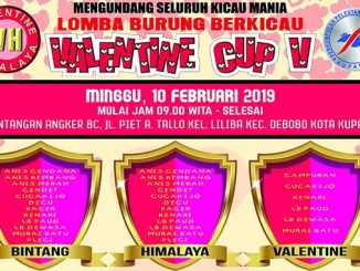 Valentine Cup V