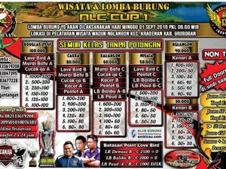 NLC Cup 1
