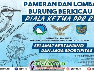 Piala Ketua DPR-RI