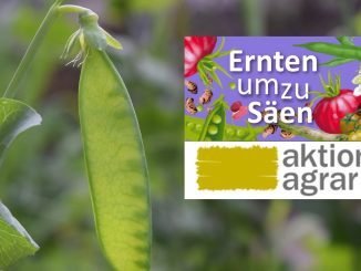 Ernten um zu säen - Mitmachaktion