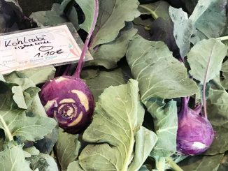 Kohlrabi aus eigener Ernte