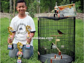 Ananta dan MB King Kong