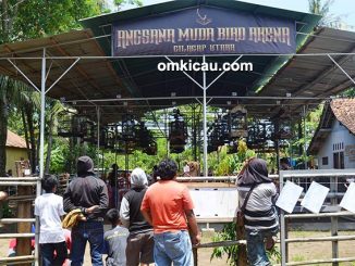 Gantangan AMBA Ciut