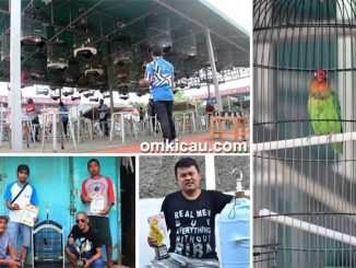 Piala Munas 1 Ronggolawe Nusantara
