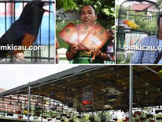 Latpres Putra Dewa Vaganza Surabaya