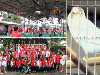 Sultan Thaha Airport Cup