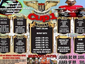 Wahana Cup 1