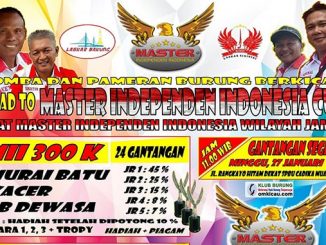 Road to MII Cup