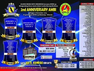 2nd Anniversary AMBI
