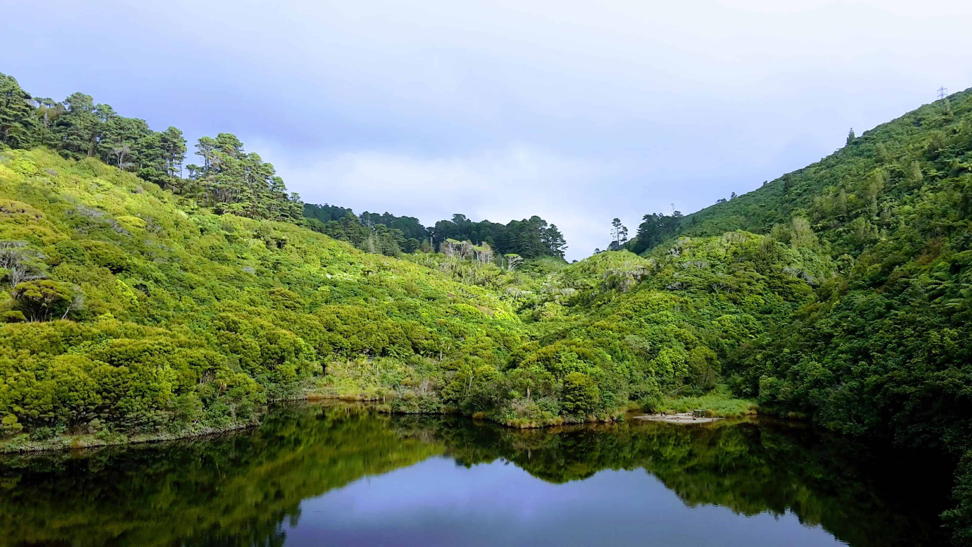 Zealandia