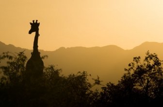 10 Awesome Things to do in Gauteng this Summer