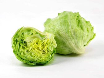 Iceberg Lettuce Iceberg Lettuce