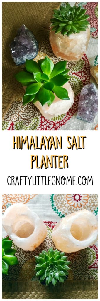 pin-image-salt-planter
