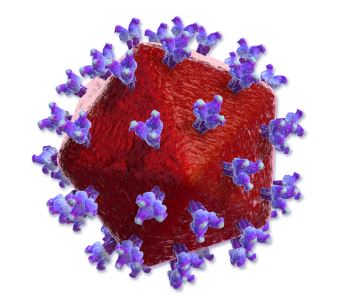 HIV Virus