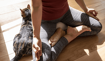 la méditation est un des repères de résilience