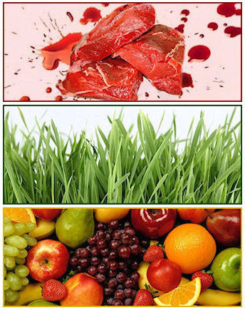 foto di carne rossa, erba e frutta