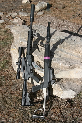 Two 10 22 rifles with Bushnell optics attached Two 10 22 rifles with Bushnell optics attached