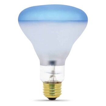 Incandescent Light Incandescent Light