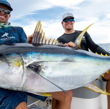 Traveling Tuna