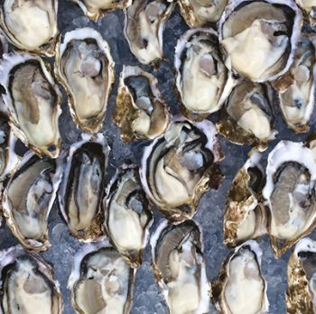 Be Shellfish, Eat Oysters