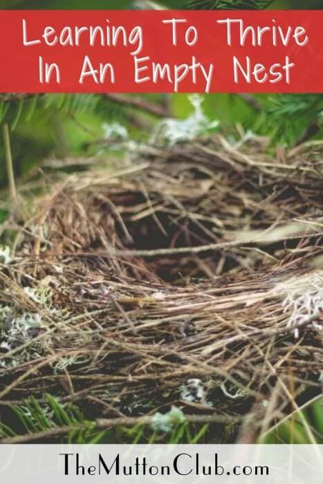 Learning To Thrive In An Empty Nest