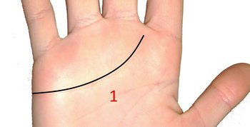 curved heart line, romantic personality,
