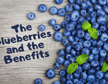The Blueberries and the Benefits Blog Post main banner displaying Blueberries NO filter used