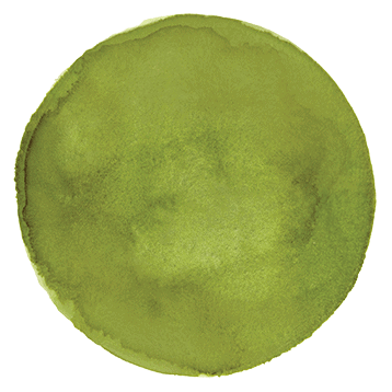 Green Accent Dot