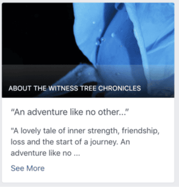 Facebook Our Story section