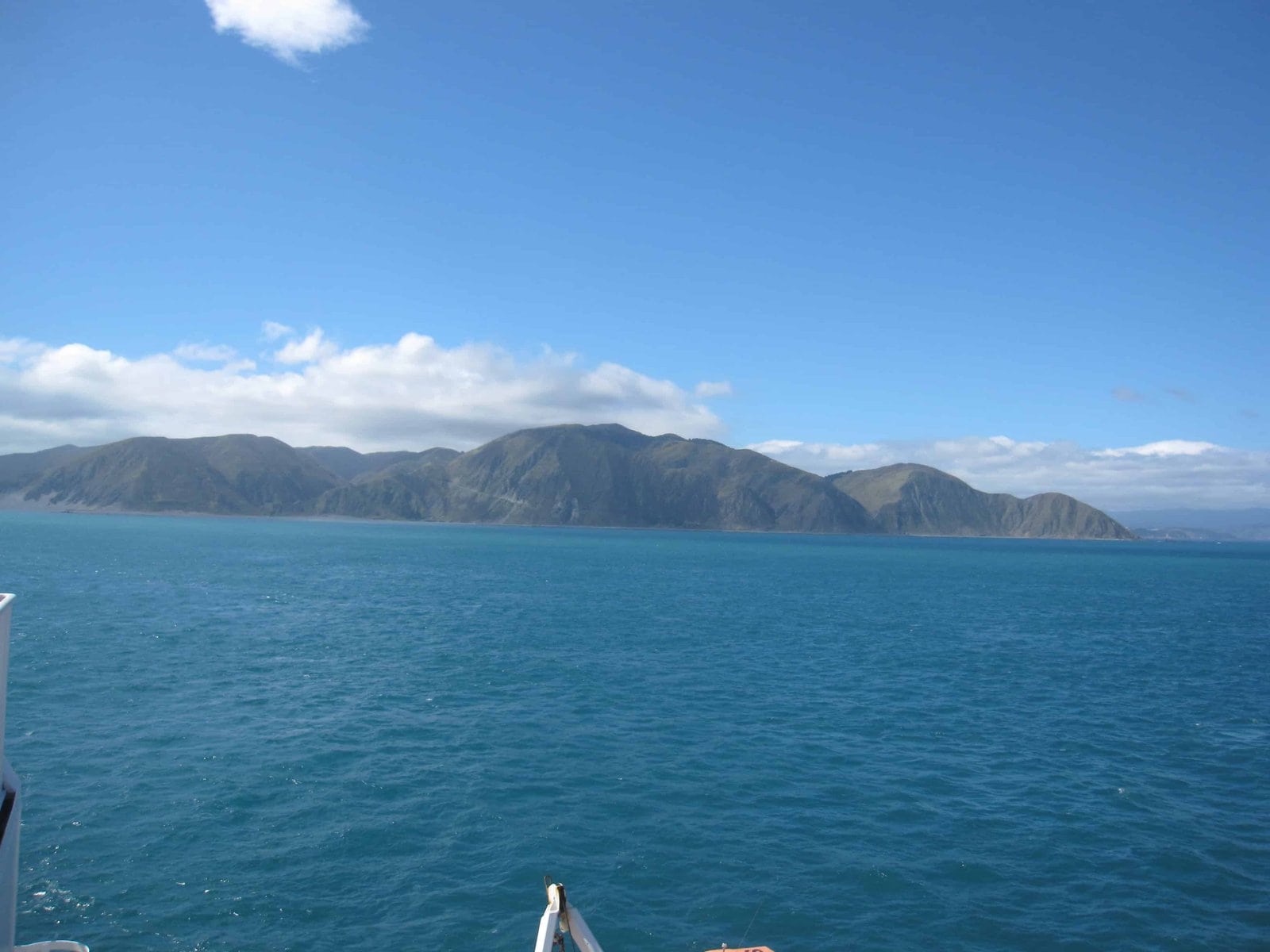 Wellington Ferry