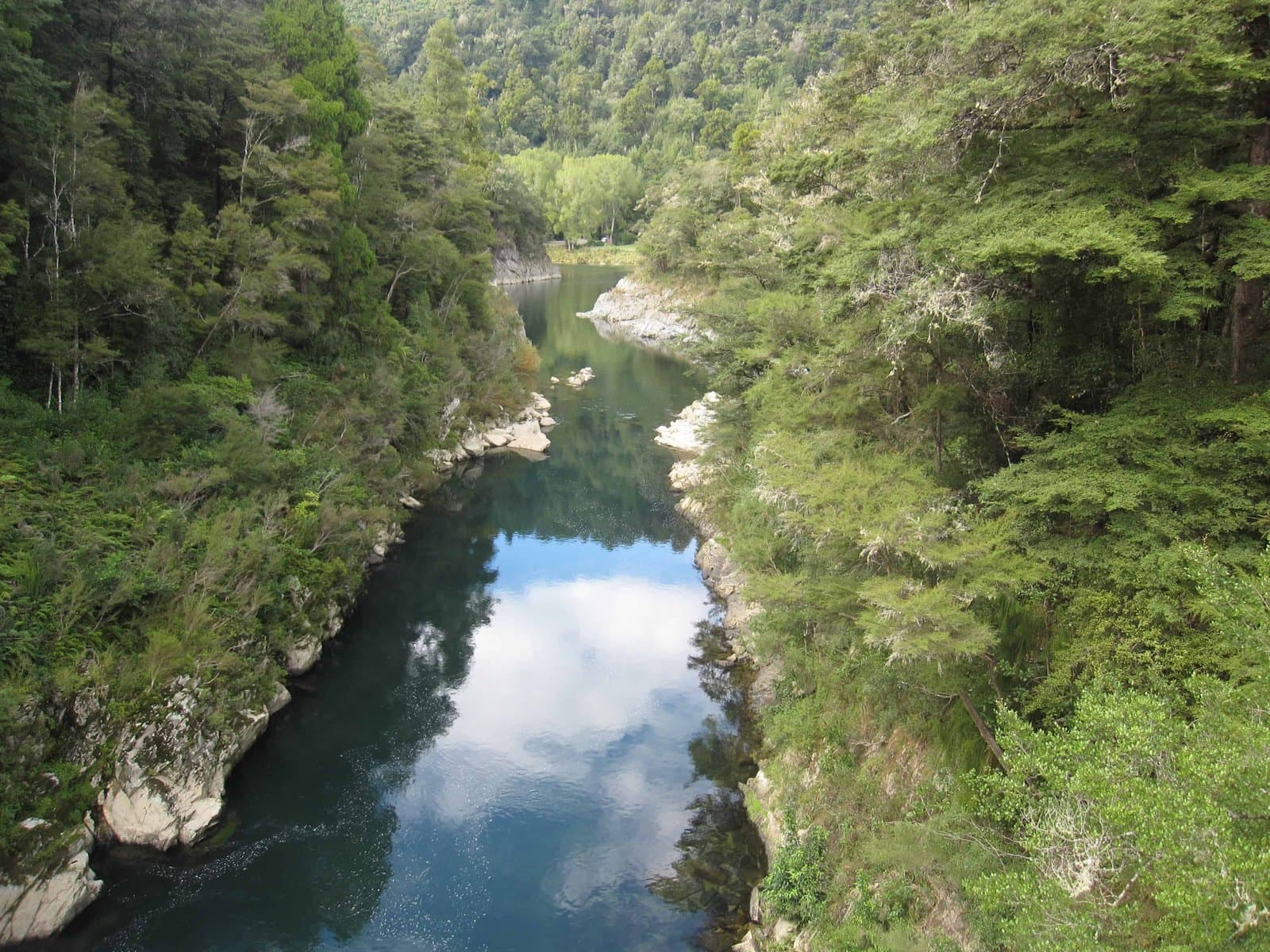 Pelorus Bridge