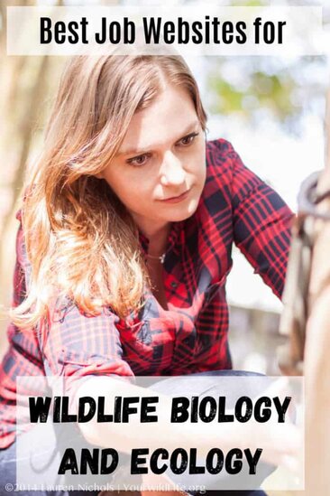 A cover photo image of the website