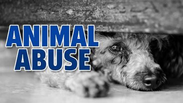 Filthy Bestiality (intercourse with animals)
