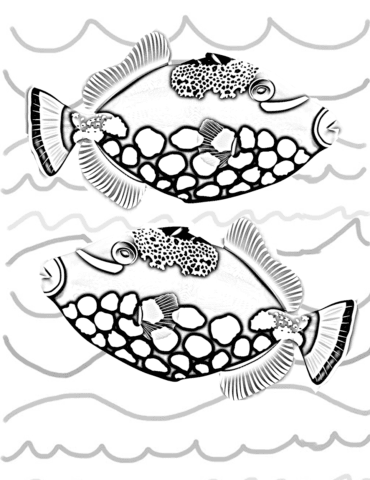 more fish faces, ocean friends, all fish faces, fish faces